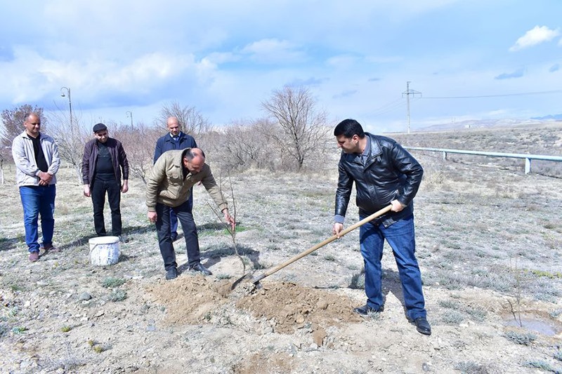 Tree Planting Initiative