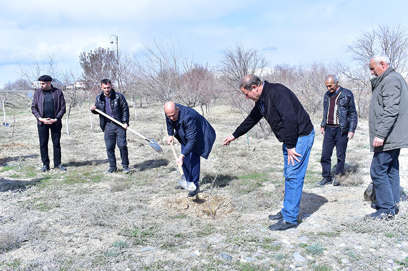 Tree Planting Initiative